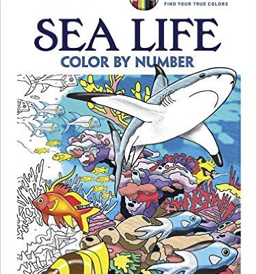 Color By Number Adult Coloring Books