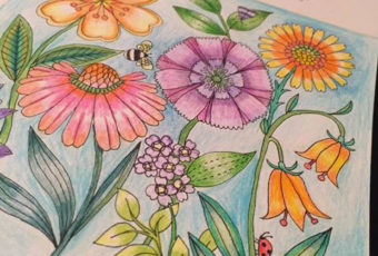 Flower and Garden Coloring Books for Adults