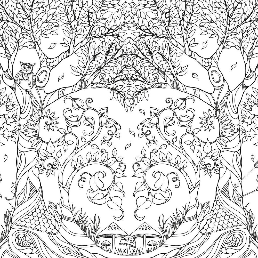 Lets Color! Coloring Books for Grown-Ups