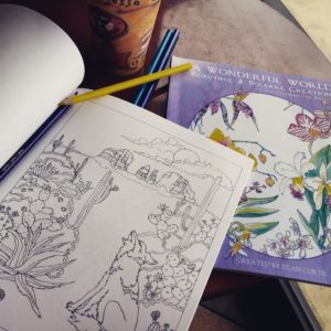 edan curtis coloring books for adults