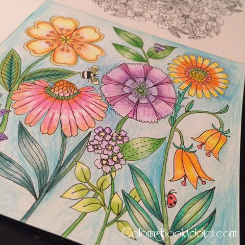 Download Flower And Garden Coloring Books For Adults