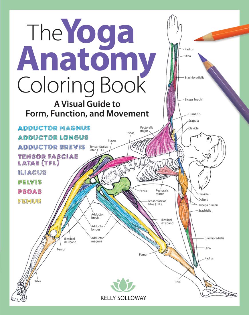 Anatomy Coloring Books for Med Students, Massage Therapists & Yogis